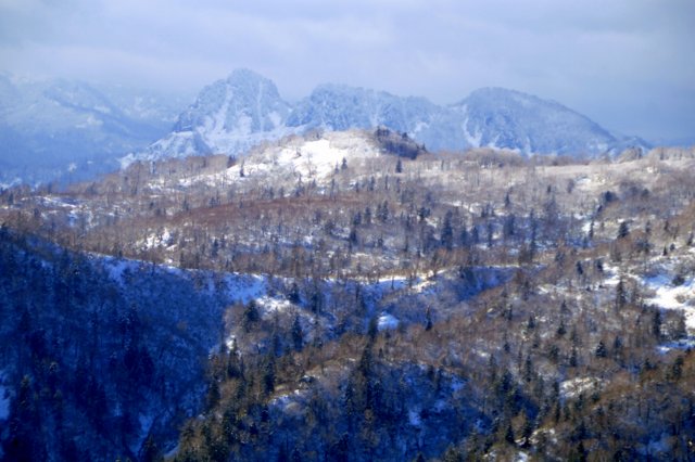 a0345007_9263610.jpg