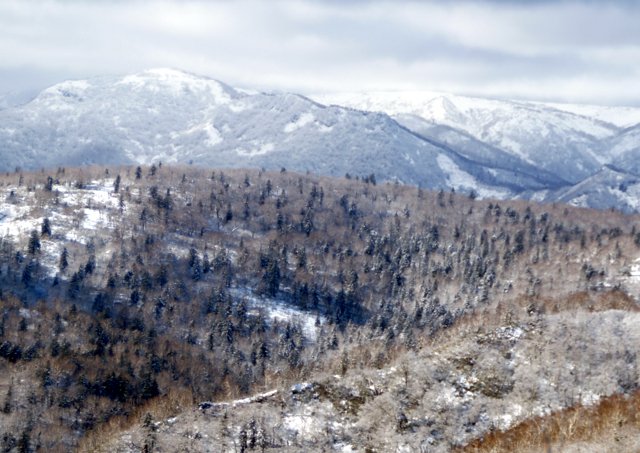 2018年11月17日(土)　　 手稲山(標高1023m) スキー場コース_a0345007_9264742.jpg