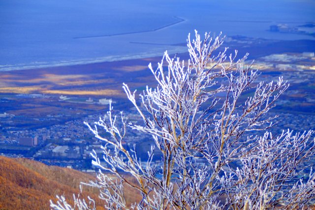a0345007_9291332.jpg