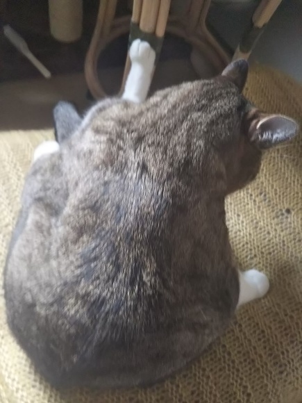 ひと仕事。。。_f0316507_22365643.jpg