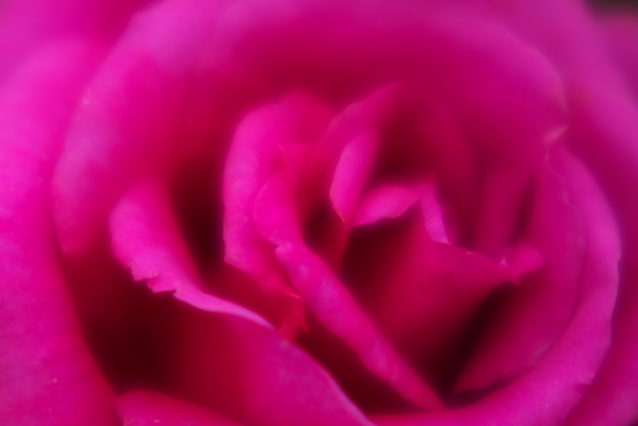 a0263109_10414342.jpg