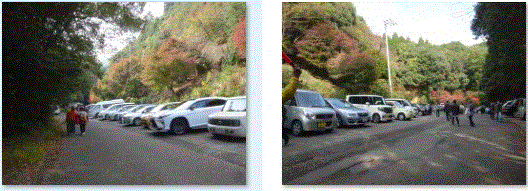 f0231709_23264158.gif