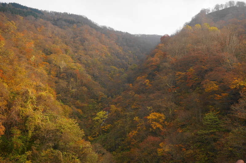 d0359010_14060420.jpg