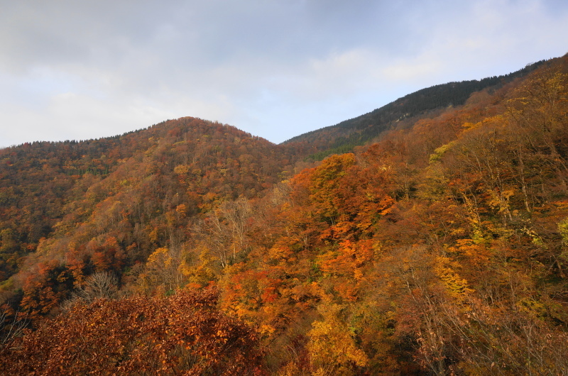 ちょっとそこまで（牛岳登山　２）_d0359010_14061468.jpg