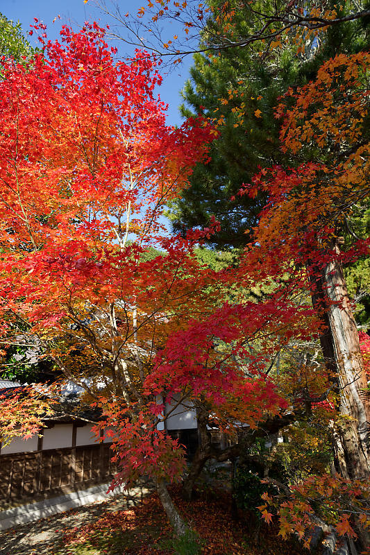 f0032011_17023627.jpg