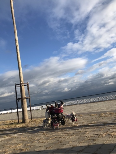 d0377714_09472571.jpeg