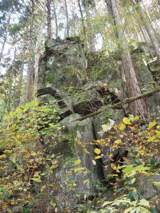 c0116915_00222130.jpg