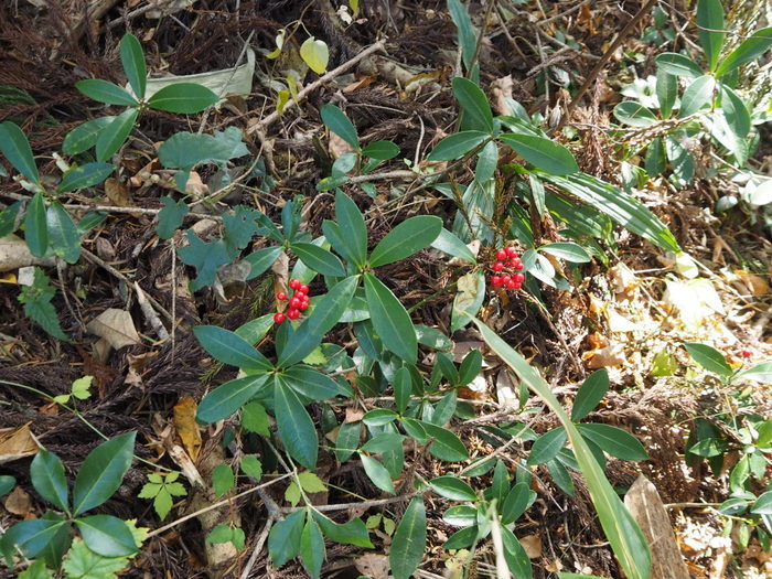 c0116915_00254132.jpg