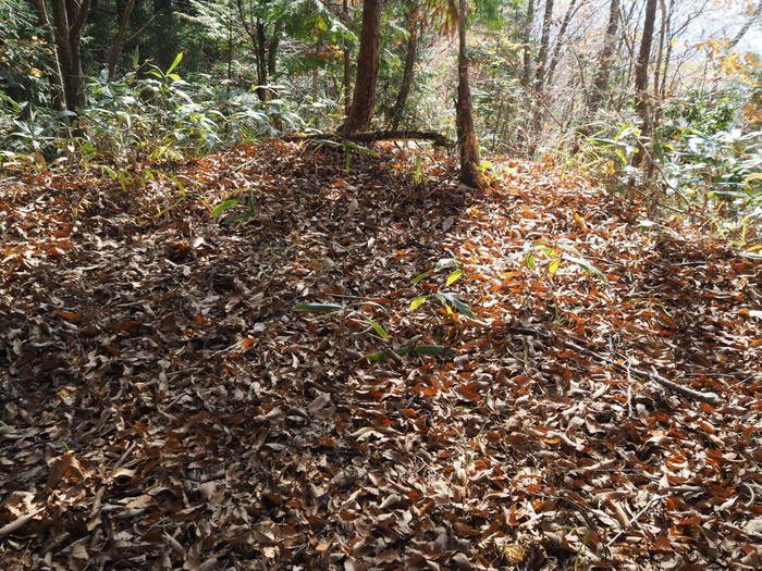 c0116915_00293040.jpg