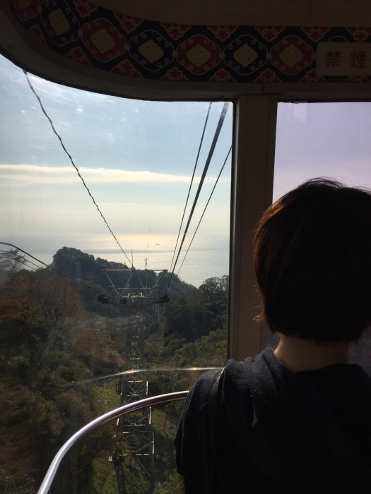 神社巡り『御朱印』⛩久能山東照宮_a0251116_22475136.jpg