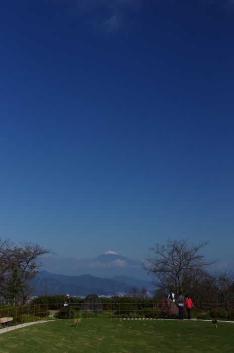 神社巡り『御朱印』⛩久能山東照宮_a0251116_22480224.jpg