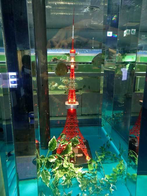 東京タワー水族館 海水熱帯魚エリアのユニークな水槽たち タツノオトシゴの給餌 続々 動物園ありマス