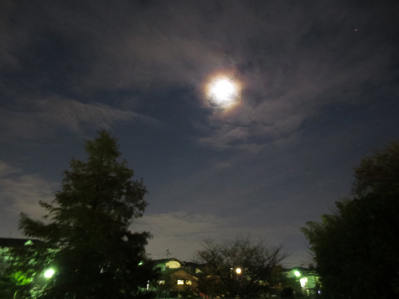 d0190217_23322012.jpg
