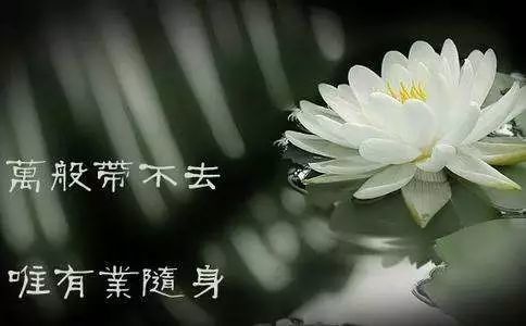 念佛吃素并不一定就是修行