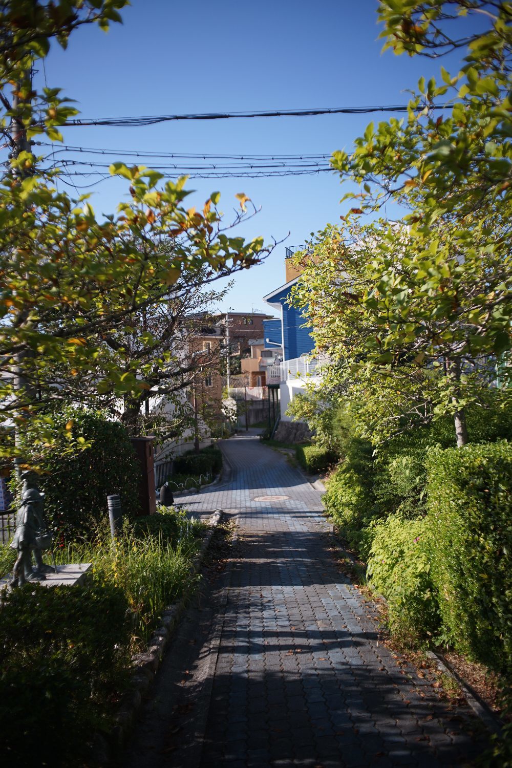 b0069128_15311662.jpg