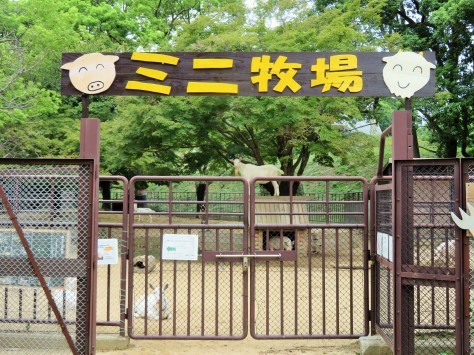 ちょっと不気味なミニ牧場!?_a0116430_13420776.jpg