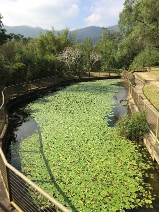 f0371533_11515273.jpg