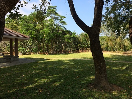 f0371533_11521311.jpg