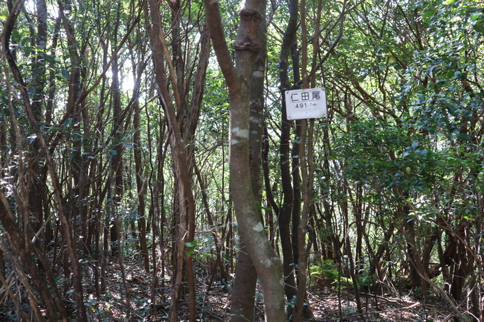 e0272335_2011481.jpg