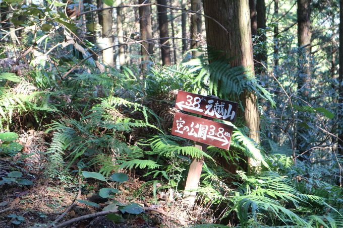 e0272335_2012233.jpg