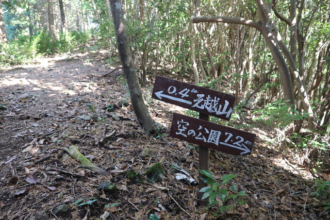 e0272335_2024951.jpg