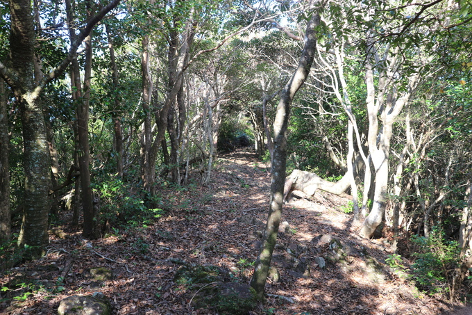 e0272335_20338.jpg