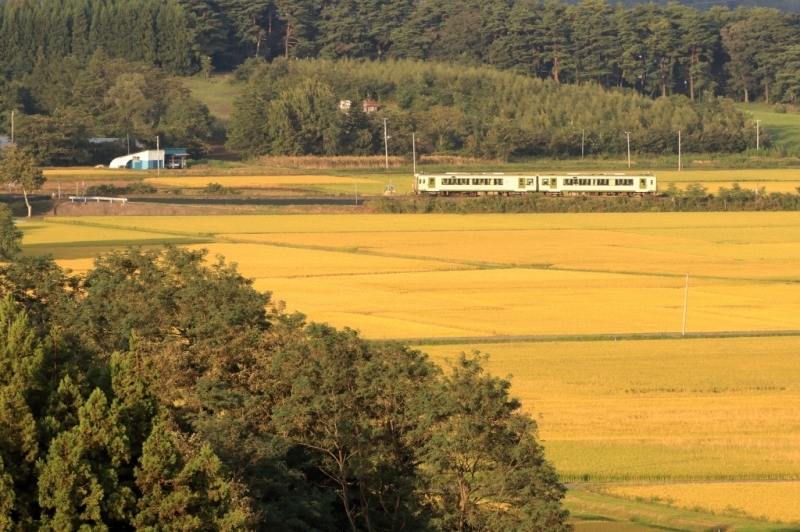 f0383538_01431727.jpg