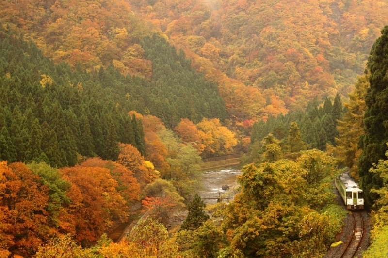 f0383538_01483320.jpg
