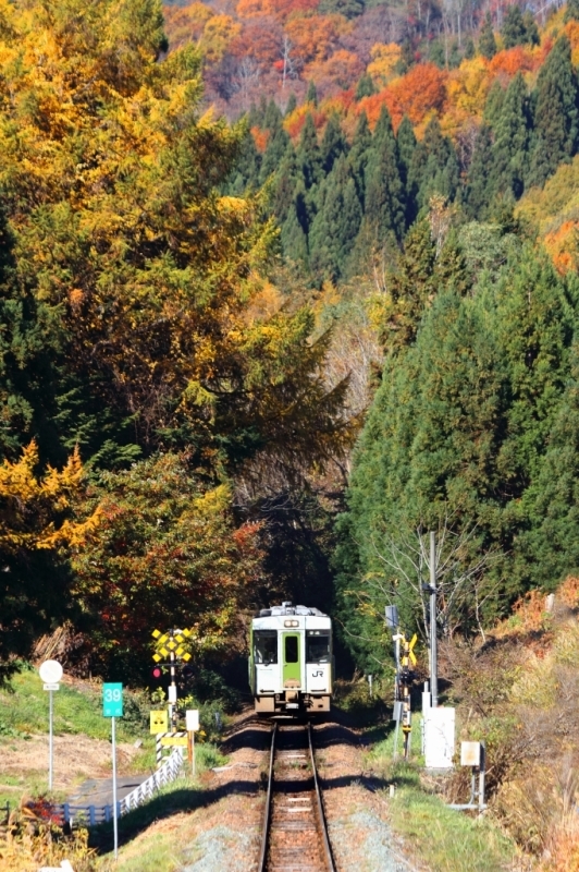 f0383538_01580377.jpg