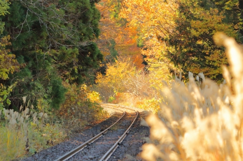 f0383538_01582417.jpg