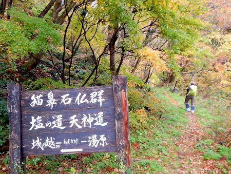 塩の道・天神道越え（北小谷駅～天神道越え～平岩駅）_e0153040_16595448.jpg