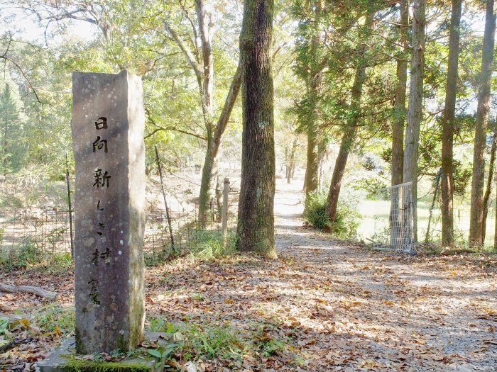 c0281841_14132498.jpg