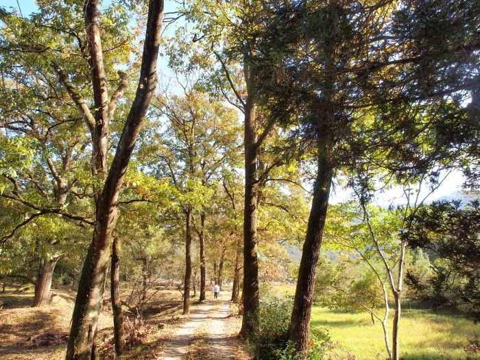 c0281841_14132835.jpg