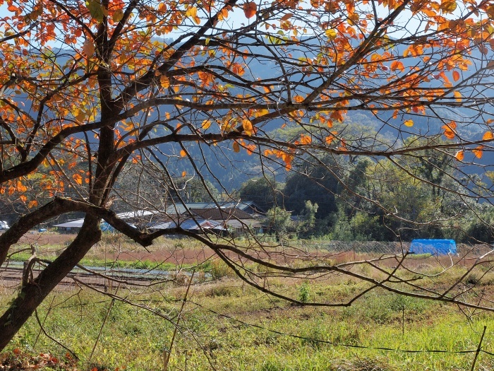 c0281841_14134183.jpg