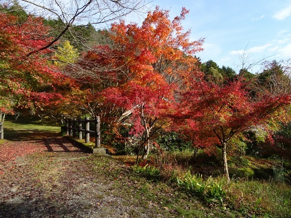 b0299042_23324779.jpg
