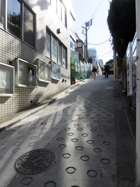 b0009849_1013127.jpg