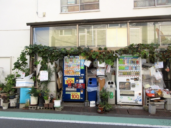 b0009849_10311196.jpg