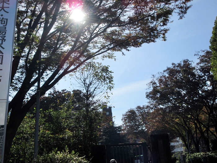 b0009849_10335081.jpg