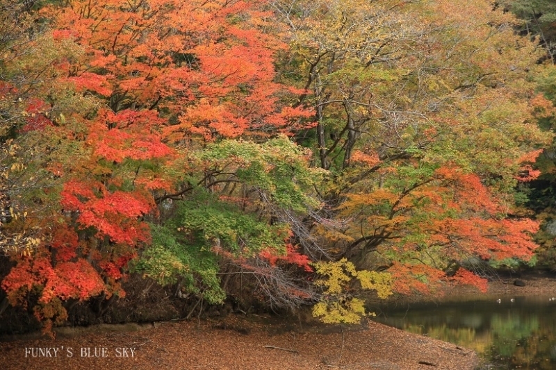 c0145250_10421438.jpg