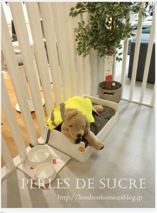 たまにはIKEA_f0199750_11575882.jpg
