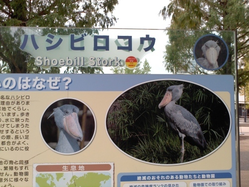 c0017651_15022336.jpg