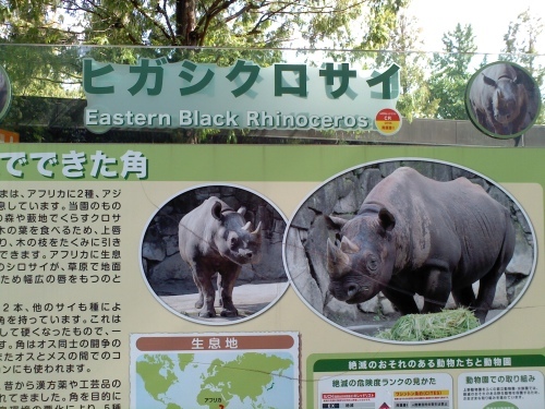 c0017651_15033915.jpg