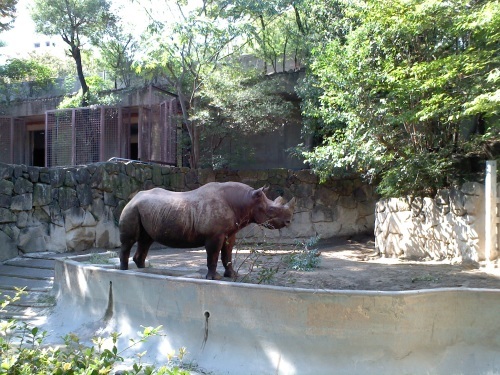 c0017651_15040387.jpg