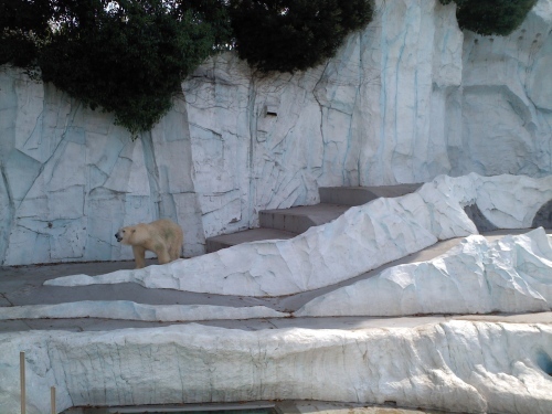 c0017651_15072891.jpg