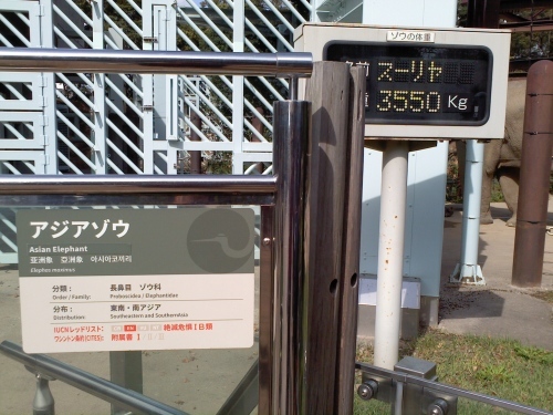 c0017651_15105212.jpg