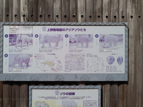 c0017651_15112891.jpg