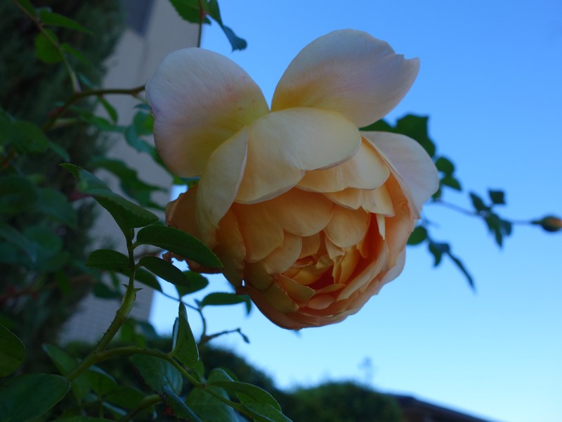 f0291154_045037.jpg