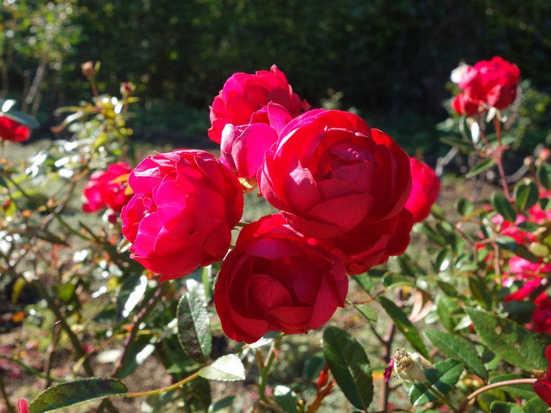 f0291154_06235.jpg