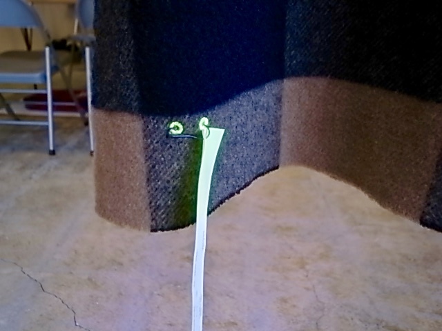 d0269455_20564027.jpeg