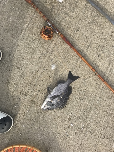 b0206856_07425471.jpeg